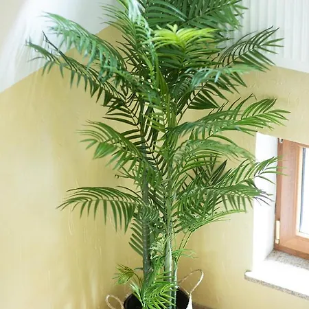 홀리데이파크 Seo 레왈