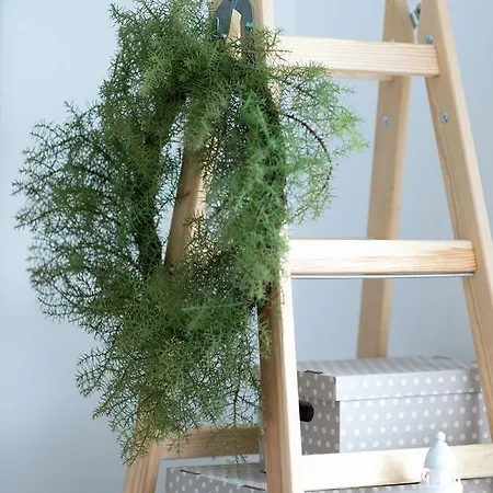 Seo 홀리데이파크 *