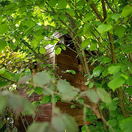 Seo 홀리데이파크 레왈