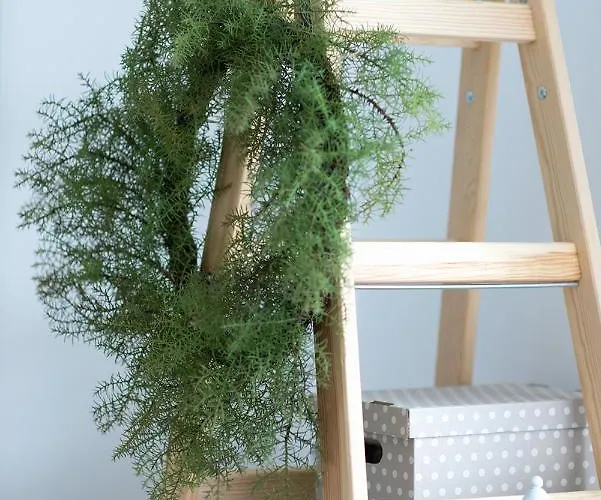 Seo Kompleks wypoczynkowy *